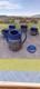 1960's Winterling Bavaria Blue Floral Ceramic Coffee Set Vintage German Pottery