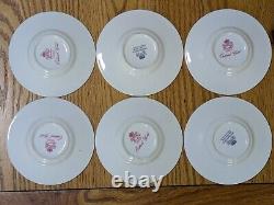46pcs Vintage Aynsley Orchard Gold Fruit Centre Tea Coffee & Dinner Service