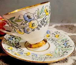 Antique Vintage Rare Taylor & Kent Fine Bone China Tea Cup And Saucer Set Mint