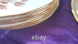 Beautiful Vintage Queen Anne Bone China Tea/Coffee Set 18 Piece boxed