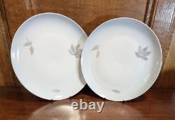 EXCELLENT Bing & Grondahl FALLING LEAVES TEA/COFFEE SET for 8 with POT