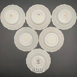 Haus Dresden After Dinner Coffee Service Dekor 56 Set for 6 Western Germany 21pc