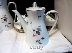 Lovely Vintage Rosenthal Porcelain Tea And Coffee Set, Quince R Loewy 27 Pieces