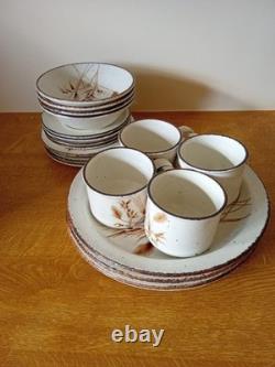 MIDWINTER STONEHENGE VINTAGE WILD OATS dinner coffee tea set