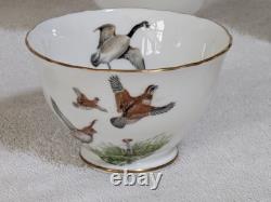 Rare Vintage 16pcs Crown Staffordshire Patt No A16411 Game Series Coffee Set