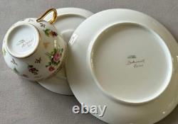 Rare Vintage Limoges Delvaux Paris France 23-Piece Porcelain Tea / Coffee Set