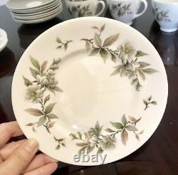 Royal Adderley Arcadia Pattern Fine Bone China Coffee Set &Side Plates 31 Pieces