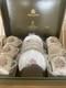 Royal Worcester Vintage Boxed Bournemouth Coffee Set For 6 In Original Box