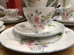 Shelley vintage wild flowers coffee set 6 Trios Cake Plate Coffee Pot, Creamer