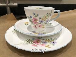 Shelley vintage wild flowers coffee set 6 Trios Cake Plate Coffee Pot, Creamer