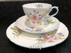 Shelley vintage wild flowers coffee set 6 Trios Cake Plate Coffee Pot, Creamer