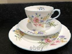 Shelley vintage wild flowers coffee set 6 Trios Cake Plate Coffee Pot, Creamer