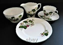 VINTAGE 20 PIECE BONE CHINA SHELLEY FUCHSIA tea/coffee set. 2395