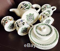 Vintage 1972 Botanic Garden Portmeirion Ironstone Coffee Set (Perfect Condition)