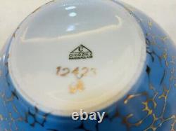 Vintage CHODZIEZ Service for 10 Coffee/Tea Service 1970's Poland