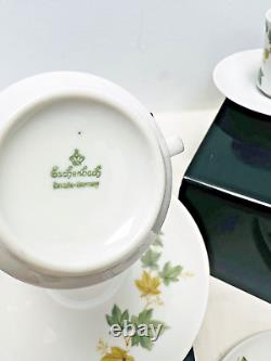 Vintage Eschenbach Bavaria White Ivy Pattern 15 piece Coffee or Tea Set (10)