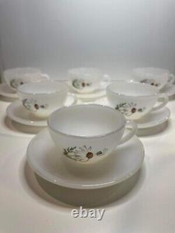 Vintage French ARCOPAL Glass Daisies. Arcopal SET OF 6 cup and saucer