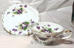 Vintage Norcrest Fine China Sweet Violets Coffee/Tea Pot Set (7 Cups & Saucers)