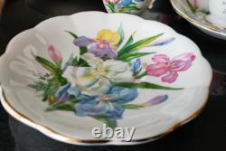 Vintage Set Six Cups & Saucers Iris Flowers Fine China Tea Coffee Royal Standard