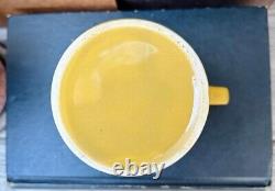 Vintage Sheffield Ironstone Golden Meadow Coffee/Tea Set-MCM