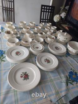 Vintage Wedgwood Moss Rose Of Etruria &Barlaston Dinner &tea or Coffee T4 £100