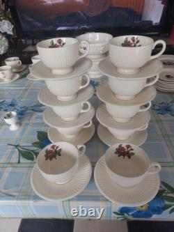 Vintage Wedgwood Moss Rose Of Etruria &Barlaston Dinner &tea or Coffee T4 £100