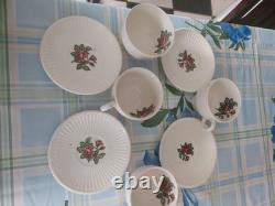 Vintage Wedgwood Moss Rose Of Etruria &Barlaston Dinner &tea or Coffee T4 £100