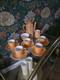 Ensemble De Café En Porcelaine Empire Ware Vintage, Lustre Orange, Angleterre 35, Années 1930-1950