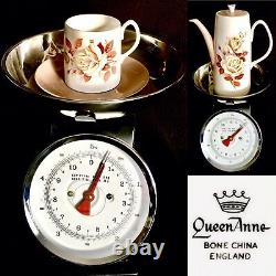 Rare Vintage (1950s) Anglais Reine Anne Autumn Rose Bone Chine Coff Set