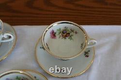 Schumann Bavaria Vintage Porcelaine Chine Coupes Florales & Ensemble De Saucer De 10